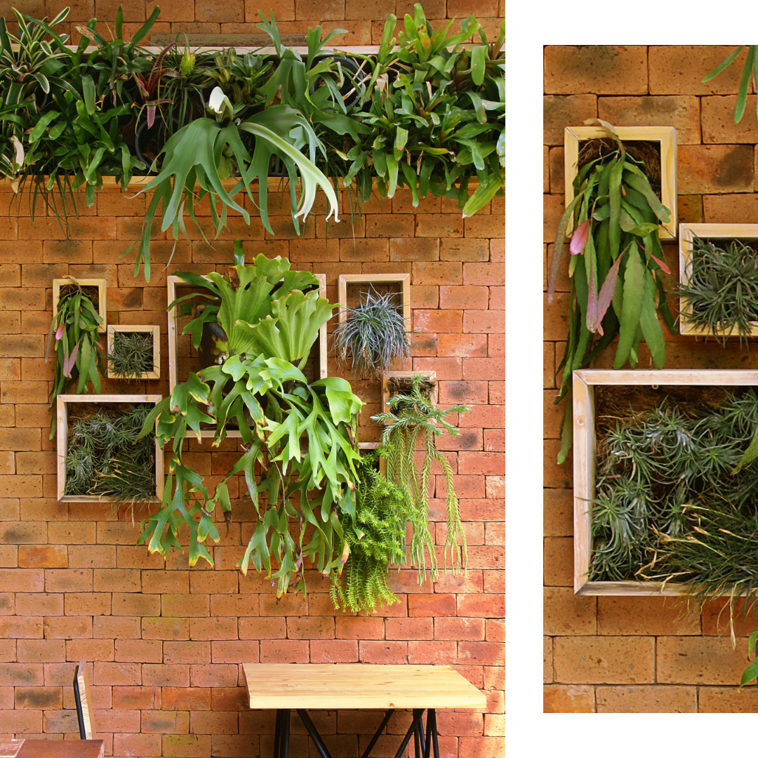 Come arredare e decorare le pareti con le piante Erika Franzoni Interior Designer Intuizioni d'arredo